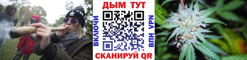 где можно купить   Каргополь  Марихуана индика 
